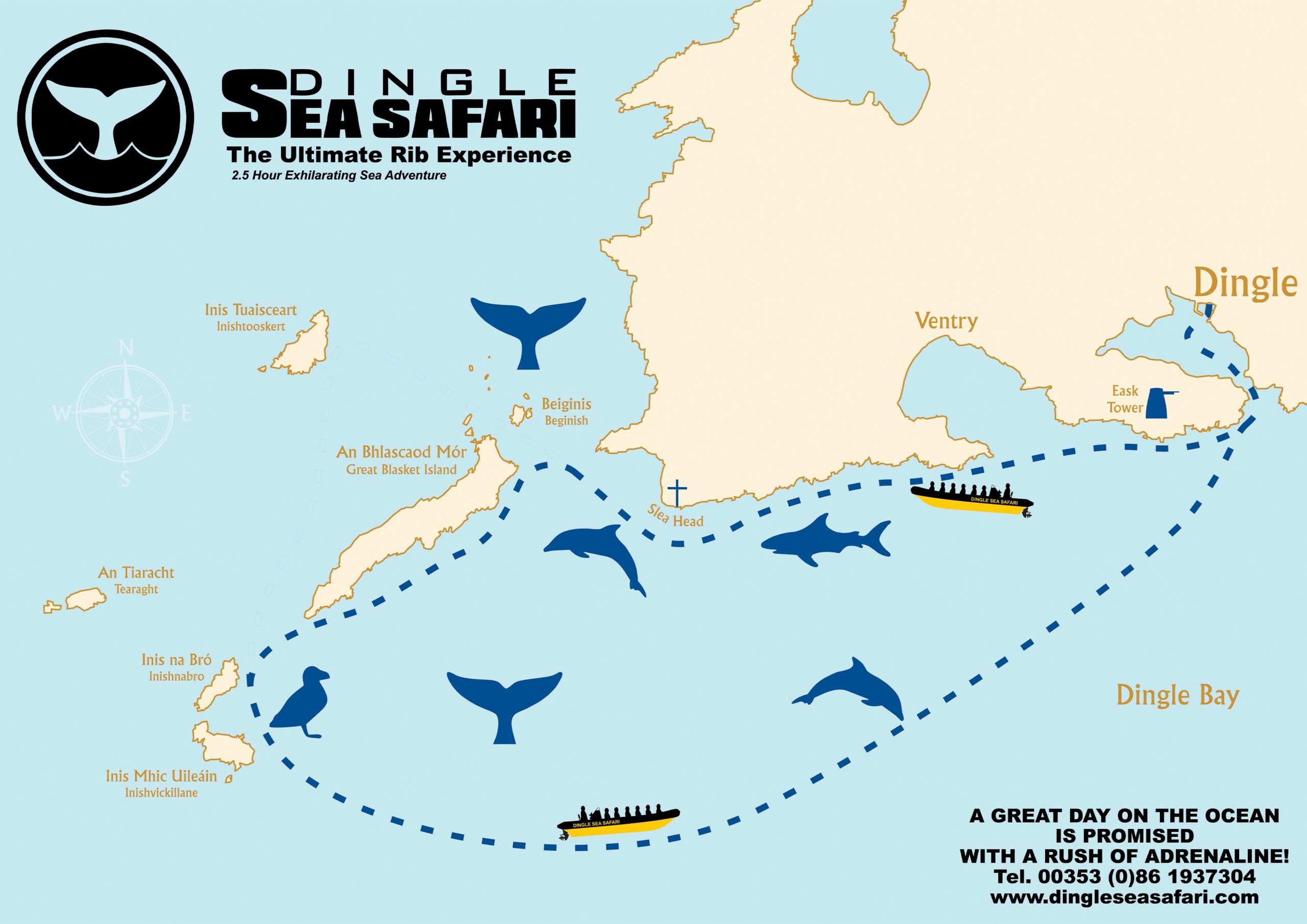 sea safari task