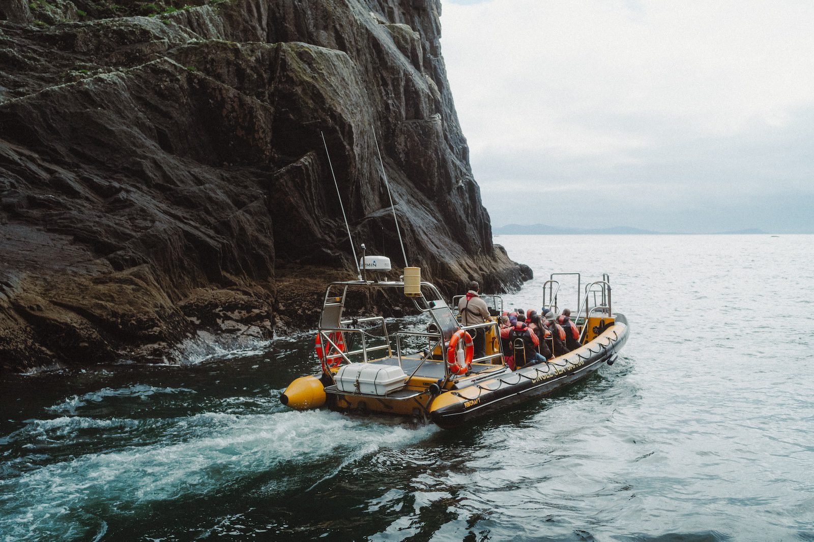 ISLANDER GAEILGE & FAILTE Dingle Sea Safari 7