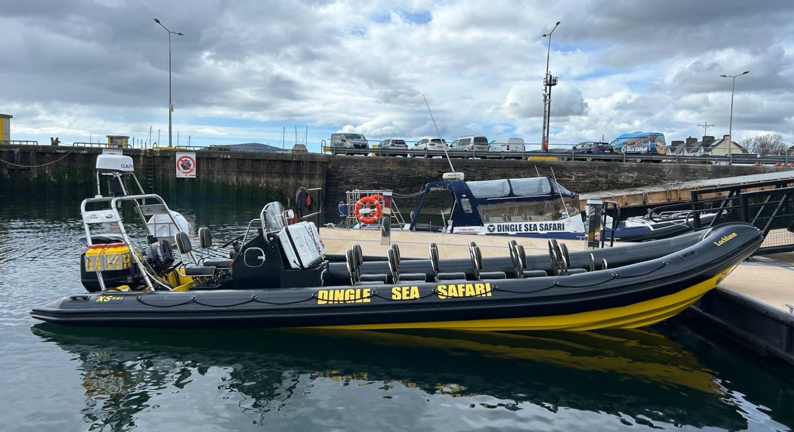 Dingle Sea Safari Boat 5 – Lochlann