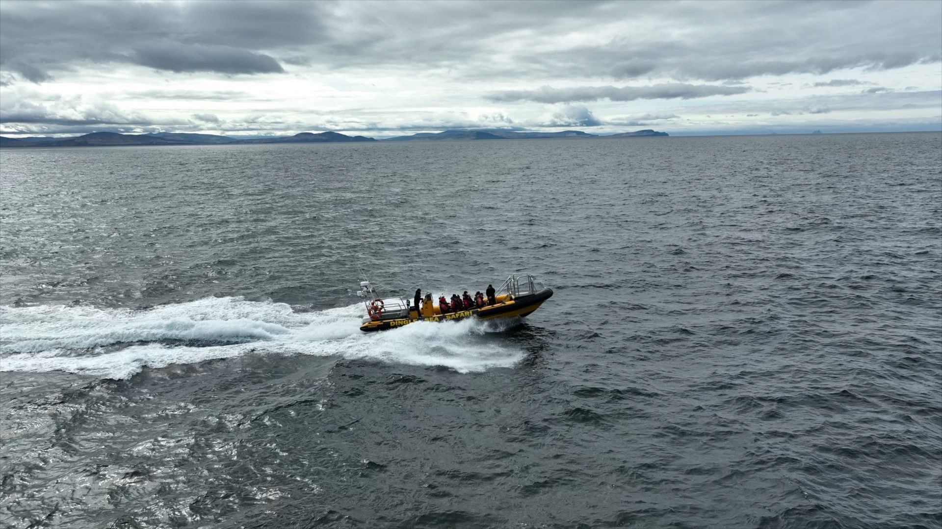 Sea Safari Banner HD 1080p mov image