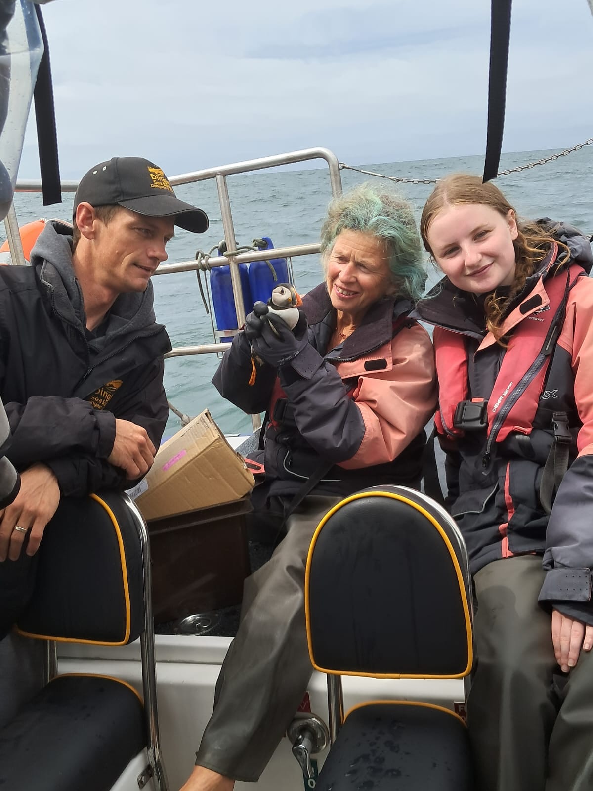 20250630 Puffin Rescue